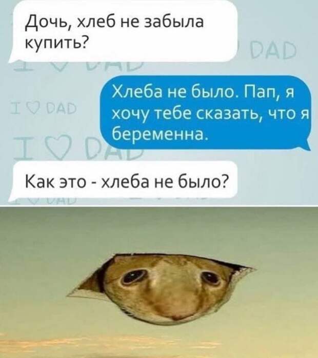 Смешные переписки