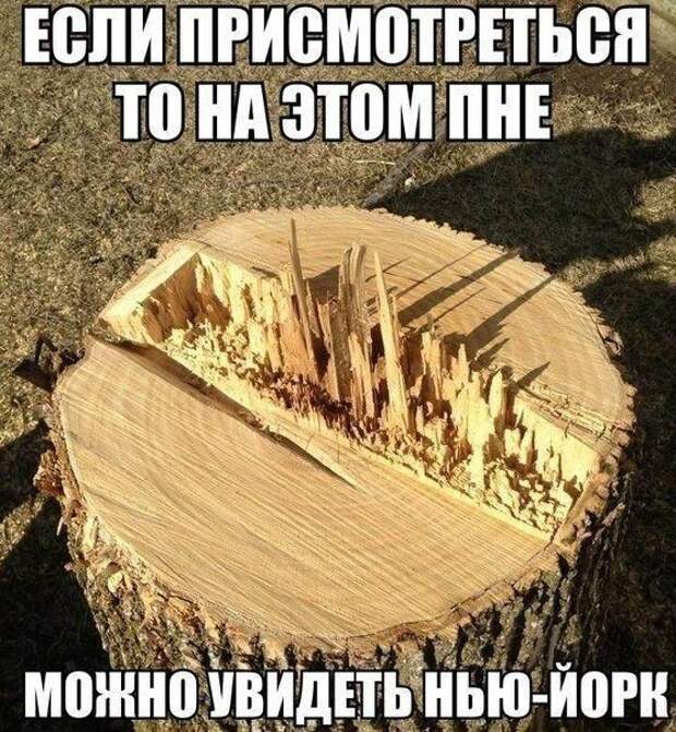Картинки с надписями мем, прикол, юмор
