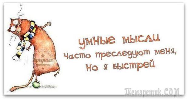 Смешные открытки с философские уклоном