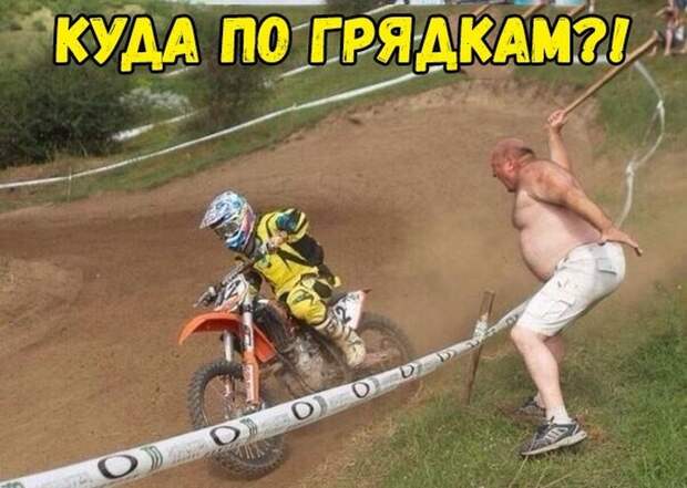 Забавные картинки и прикольные фото с надписями (11 фото) Забавные картинки и прикольные фото с надписями (11 фото)