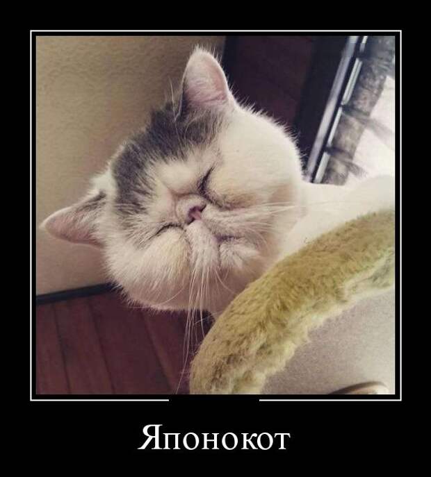 Демотиваторы (30 фото)