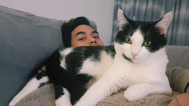Кошка с хозяином Кошка с парнем