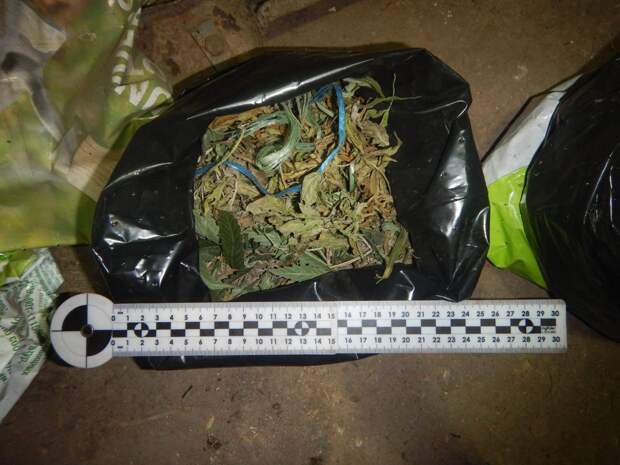 У жителя Джанкойского района нашли почти полкило каннабиса