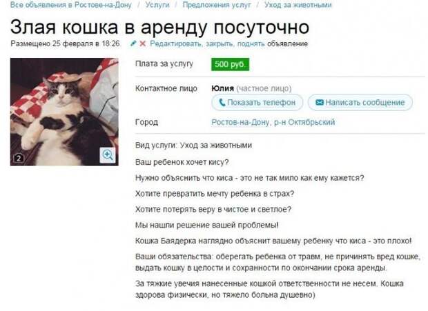 Приколы