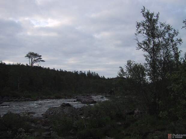 Река Тюва достаточно дикое место. Кроме кумжи, здесь можно поймать сига и сёмгу.