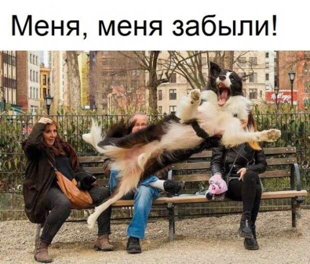 Баянисто-небаянистый юмор