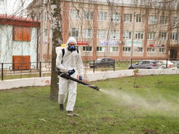 В Туле от клещей обработают свыше 160 га территорий