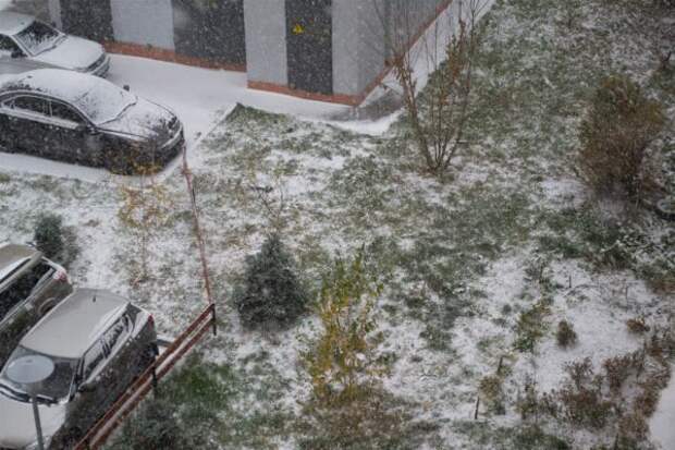 Первые снегопады в Украине