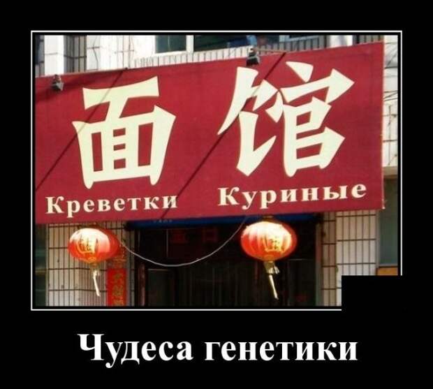 1573158863_0019.jpg