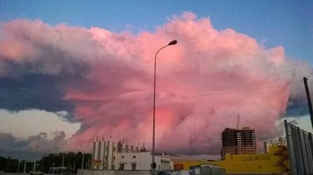 Прикольные картинки абавсём:D (12.08.16)