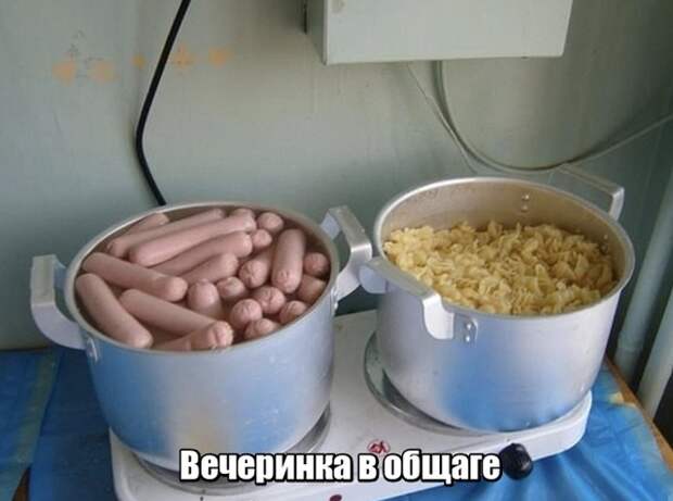Подборка картинок (20 фото)