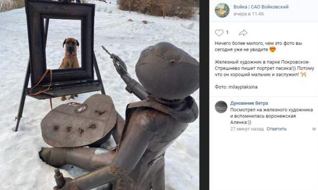 Фото дня: людские развлечения собаки в парке Покровское-Стрешнево