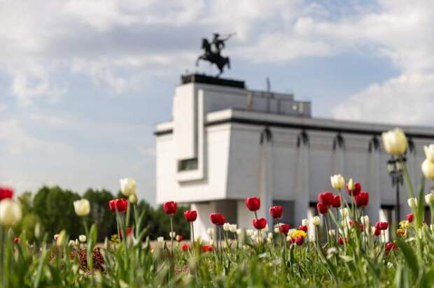 Музей Победы привезет в Курск выставку