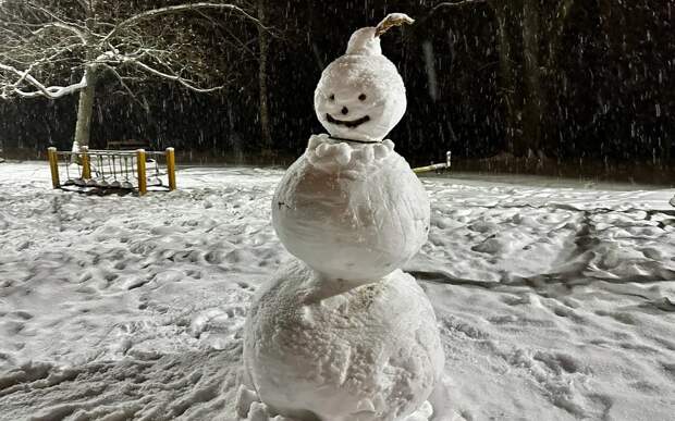 Воздух Сибири: в Рязанской области рекордные снегопады сменят аномальные морозы