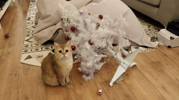 С Новым годом!