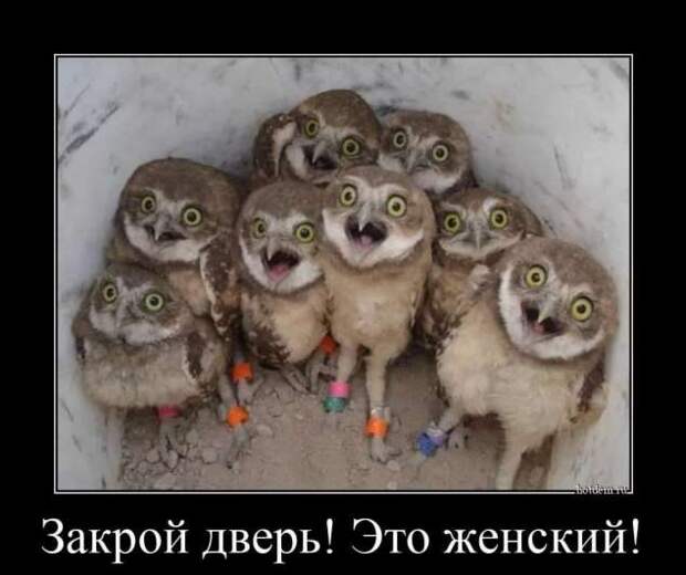 Прикольные демотиваторы с надписями. Подборка chert-poberi-dem-chert-poberi-dem-15130412112020-3 картинка chert-poberi-dem-15130412112020-3