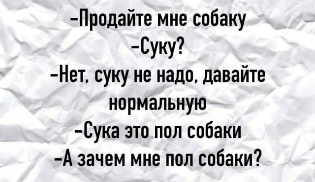 Плохие шутки от пользователей