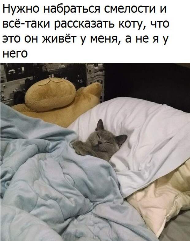 Новый год к нам мчится, скоро всё случится...)