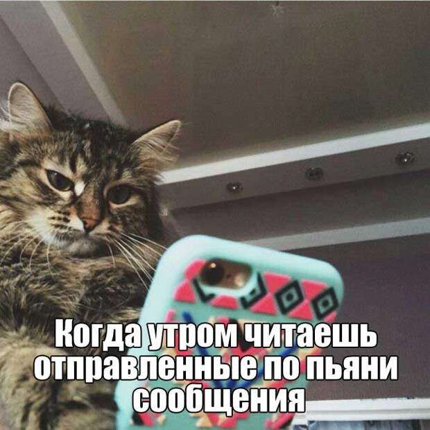1484509423_102