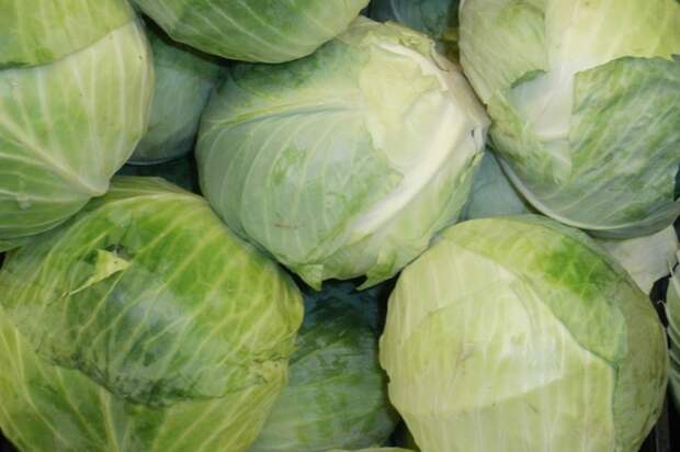 Капустная передозировка: чем на самом деле она опасна?