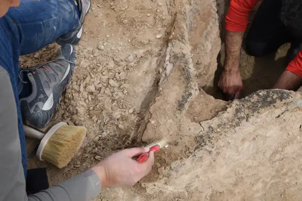 На юге Ирака, недалеко от руин древнего шумерского города Урук