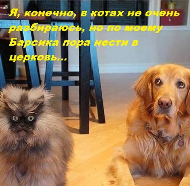 Прикольные фото
