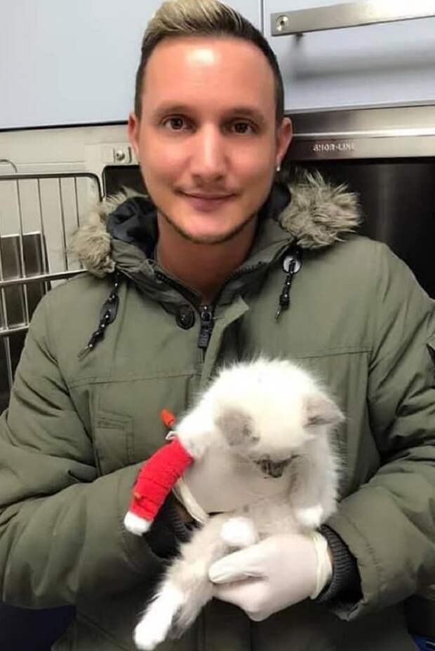 Котенок с хозяином Мужчина и котенок