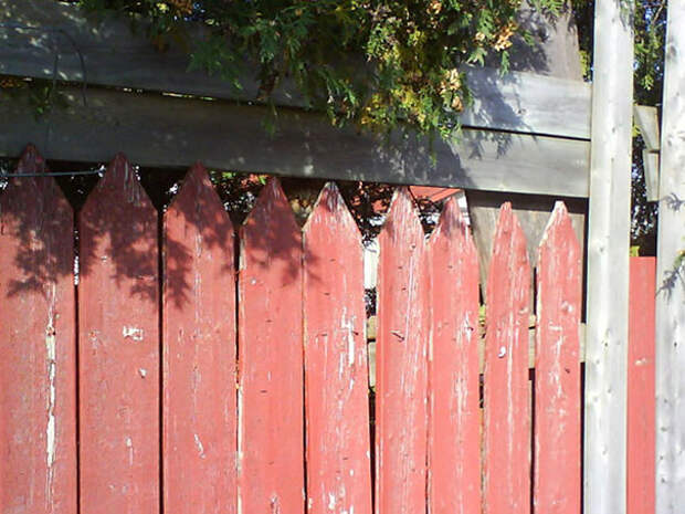 find-hidden-cat-camouflage-hide-and-seek-catouflage-172