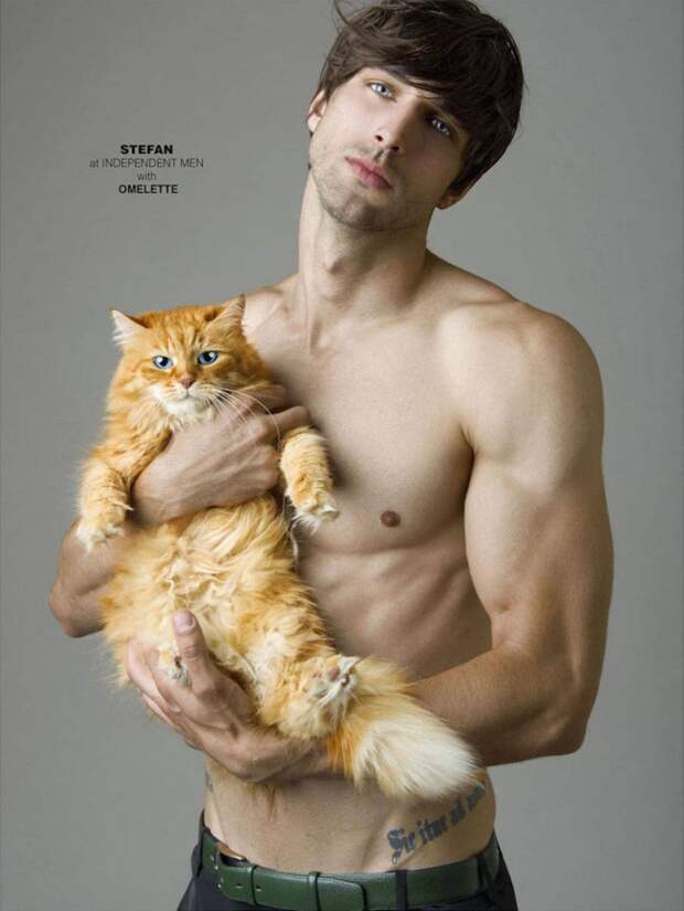 Мужчины и коты