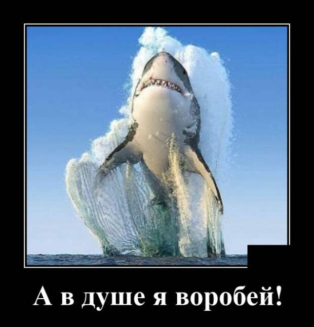 Демотиваторы 19 августа 2020
