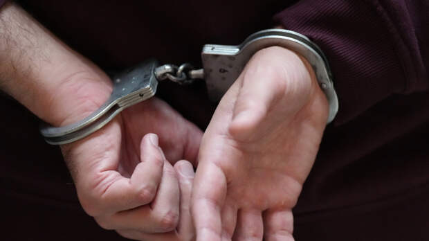 Ректора частного вуза в Петербурге задержали по делу о нелегальной миграции