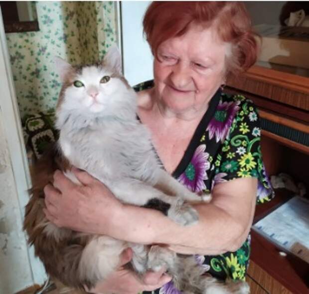 Кот спас хозяйку от смерти