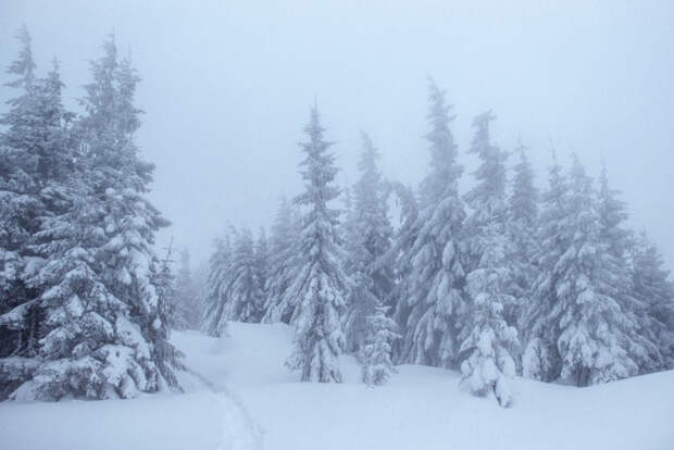 Их все-таки найдут? Синоптик рассказал, когда растает снег там, где исчезли Усольцевы