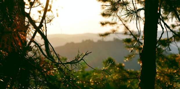 Такой день. Выходные на майские праздники и иски на 10 млн к учительнице, попавшей под поезд с детьми