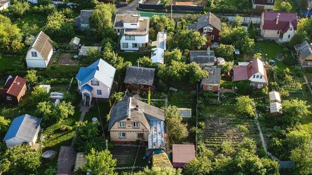 Какие полезные растения нужно запасать на стыке весны и лета в лесу и на даче