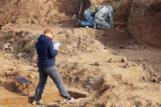 В России нашли клад с золотыми монетами времен революции