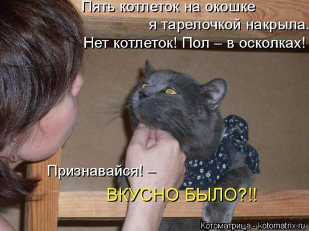 Котоматрицы (картинки с надписями)