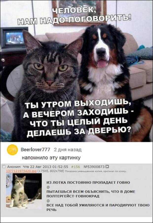 смешные комментарии