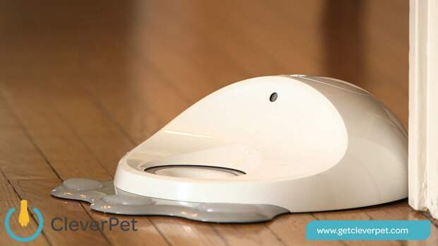 cleverpet_consolebranded