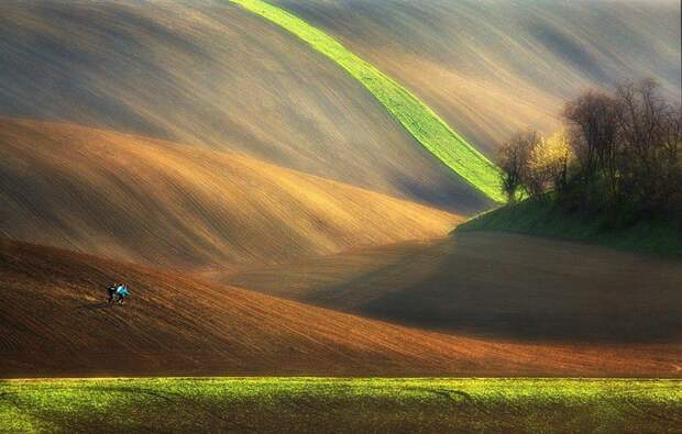 природа, мир, фотографии