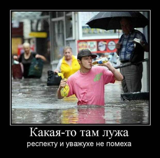 Прикольные демотиваторы