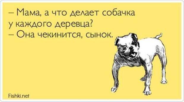 Прикольные открытки (30 фото)