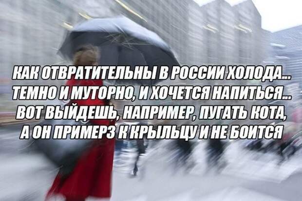 Картинки со смешными подписями