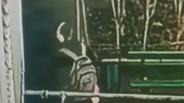 Полицейские Карачаево-Черкесии вычислили курьера аферистов, обманувших маму погибшего участника СВО