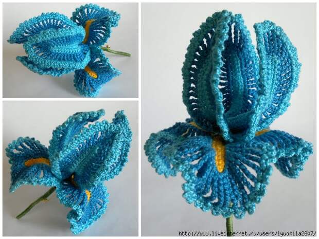 crochet_iris (640x480, 252Kb)