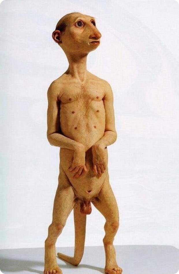 Неведомы зверюшки