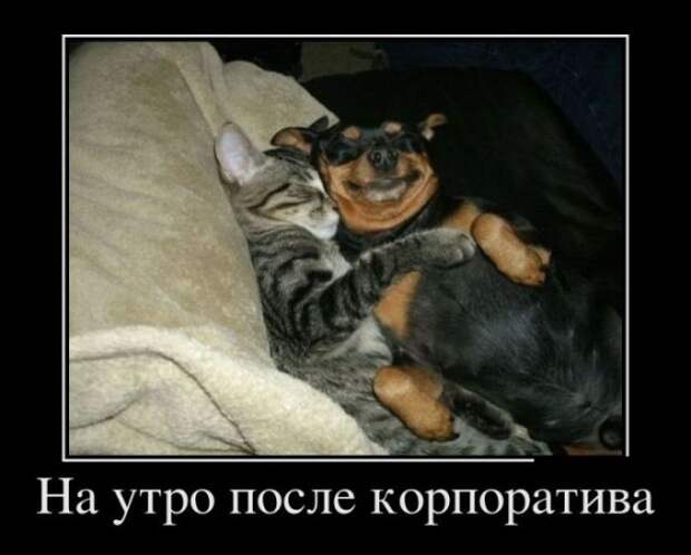 Демотиваторы (30 фото)