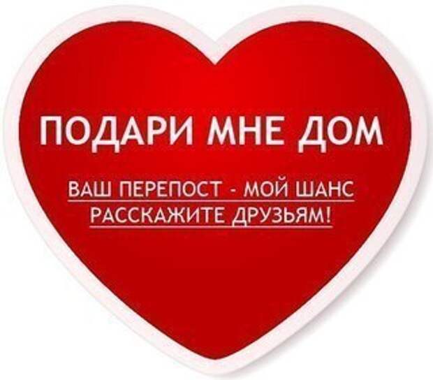 Тому, кто возьмёт в свой дом малышку, она подарит много счастья и душевного покоя!!!