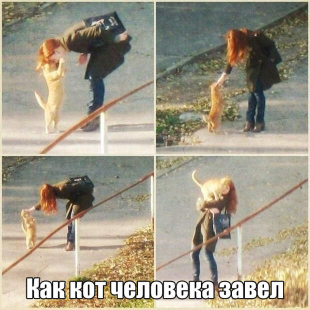 1476385527_04
