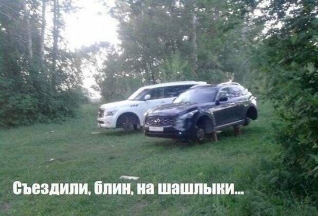 Веселые картинки с надписями до слез (11 фото) Веселые картинки с надписями до слез (11 фото)